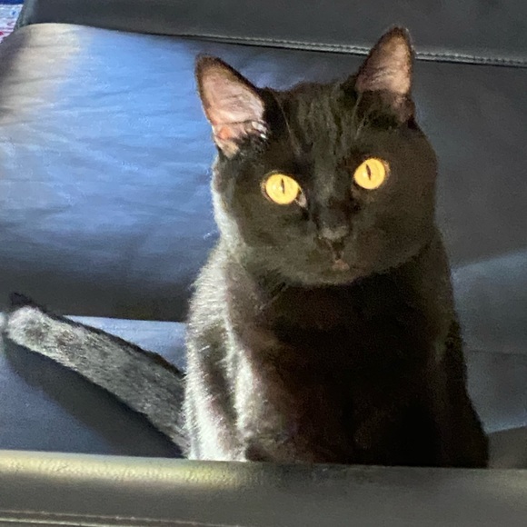 Howdy y'all, I'm Dawn. - Picture 6 of 6